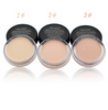 Cream Contour Palette Facial Pro Make Up